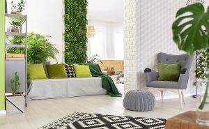 Piante-interni-casa
