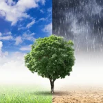 Cosa sono le zone climatiche
